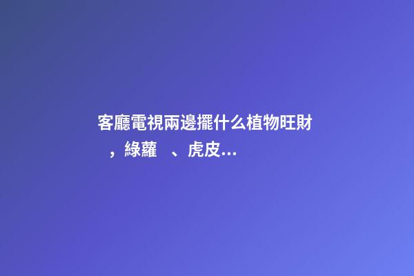 客廳電視兩邊擺什么植物旺財，綠蘿、虎皮蘭、發財樹